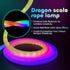Neon LED Rope Light 5 meter
